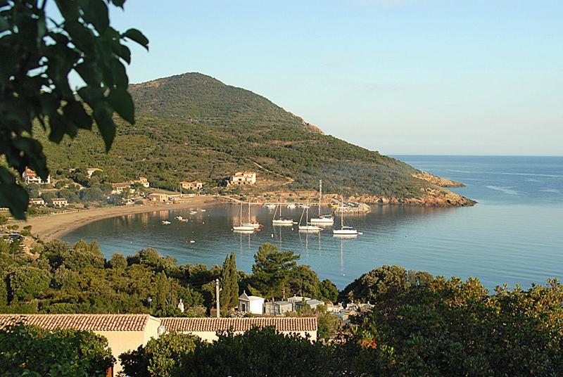 Hotel L'Alivu Galeria  Luaran gambar